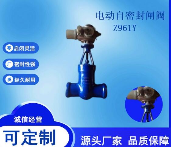 DN300电动闸阀Z961Y一体化阀门电动装置