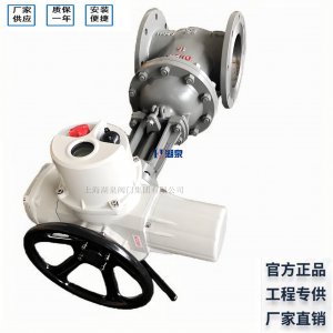 电动闸阀Z941H-16C_DN100/PN1.6MPa_含执行器