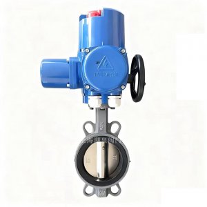 电动衬胶碟阀D971J/S-10/16 DN50（腐蚀性介质