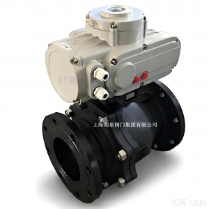 电动球阀DN50，PN10，手柄式；304不锈钢