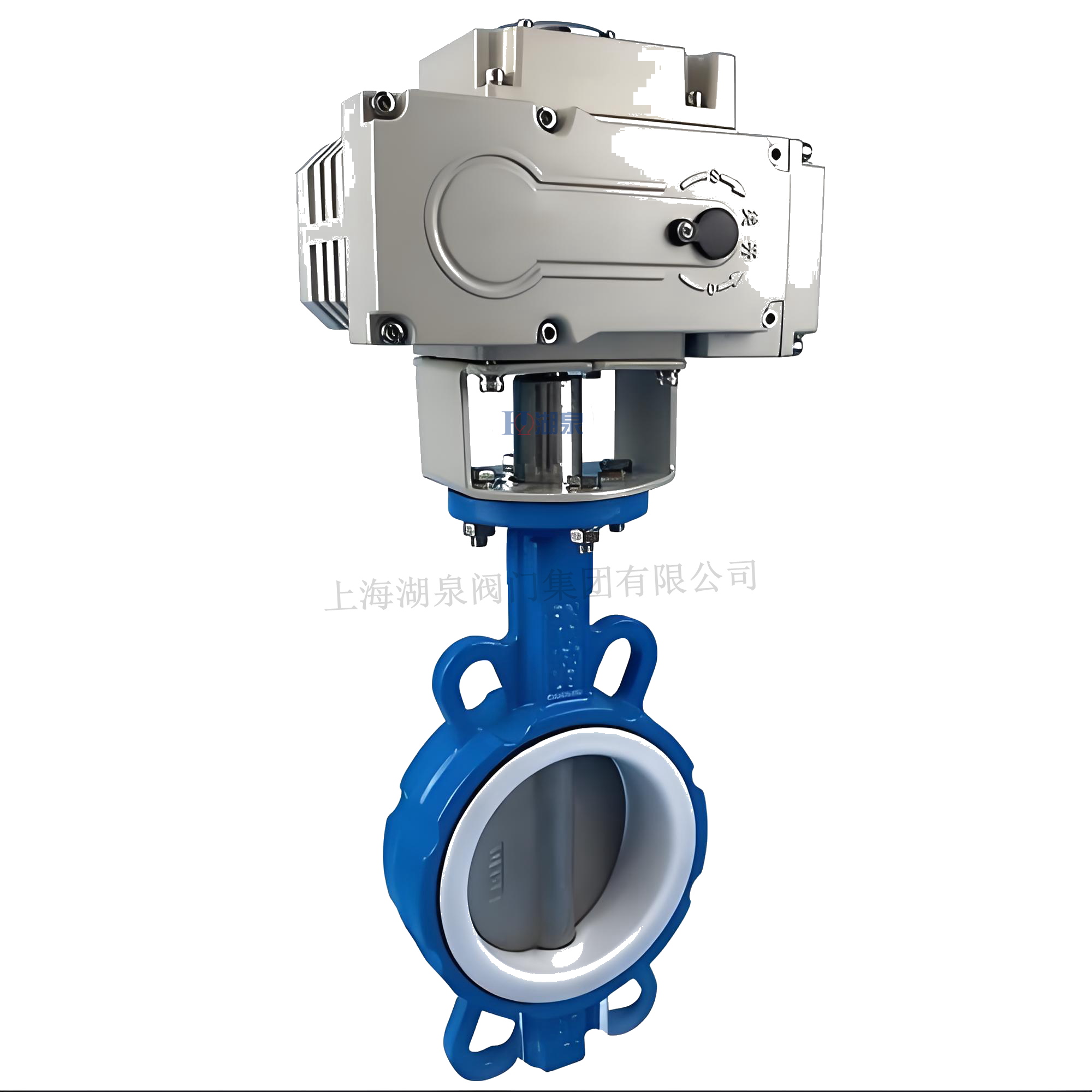 D971F46-16Q/DN200全衬四氟对夹蝶阀